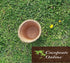 AussieSuperStore Homeware Supplies Coco Pot Liner (in 2 sizes) Coco Pot Liner | Coco Planting Pots/Baskets | Coir Seed Germination Cups
